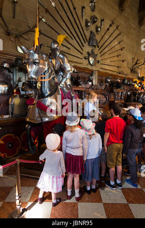 Ein Reiseleiter spricht über eine Anzeige der Waffenkammer/Rüstung zu einer Gruppe von Kindern und andere Besucher in der Großen Halle der Warwick Castle. Warwickshire, Großbritannien. Stockfoto