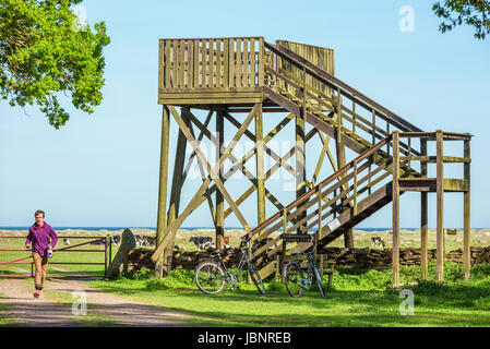 Ottenby, Schweden - 27. Mai 2017: Ökologische Dokumentarfilm. Große Vogelbeobachtung Turm aus Holz mit Rädern unter geparkt. Person zu Fuß in Richtung Stockfoto