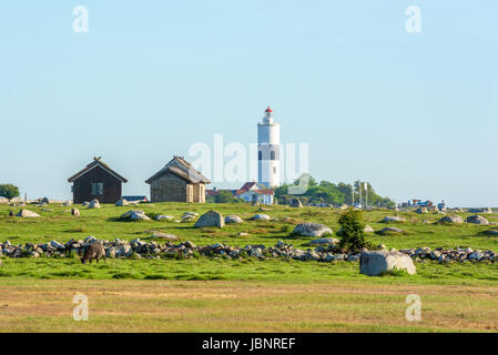 Ottenby, Schweden - 27. Mai 2017: Ökologische Dokumentarfilm. Der südlichsten Spitze von Öland, mit dem Leuchtturm lange Jan. Schafe weiden im Vordergrund. C Stockfoto