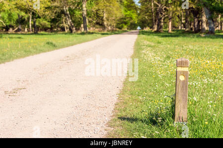 Wooden Wandern Wanderweg Markierung neben einer Kies Landstraße hinauf in einen Wald. Das Abenteuer kann beginnen. Lage Ottenby in Schweden. Stockfoto