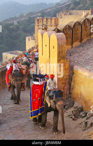 Elefanten gehen auf dem gepflasterten Weg zum Amber Fort in Jaipur, Rajasthan, Indien eingerichtet. Elefantenreiten sind beliebte Touristenattraktion in Bernstein Stockfoto