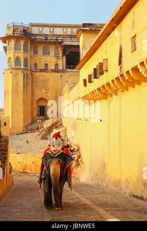 Elefant mit Touristen, die auf dem gepflasterten Weg zum Amber Fort in Jaipur, Rajasthan, Indien eingerichtet. Elefantenreiten sind beliebte Touristen anlocken Stockfoto