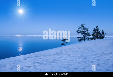 Seelandschaft mit Mondlicht im winter Stockfoto