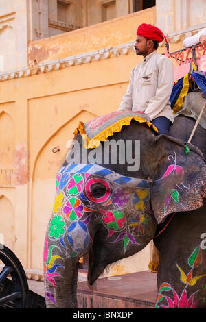 Mahout Reiten dekoriert Elefant im Jaleb Chowk (Ehrenhof) von Amber Fort, Rajasthan, Indien. Elefantenreiten sind beliebte Touristenattraktion in Stockfoto