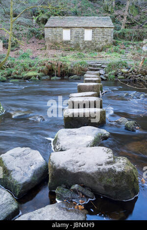 Trittsteine Stockfoto