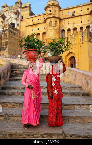 Einheimische Frauen tragen Töpfe mit Pflanzen auf ihren Köpfen zu Amber Fort, Rajasthan, Indien. Amber Fort ist die wichtigste touristische Attraktion in der Umgebung von Jaipur. Stockfoto