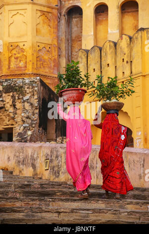 Einheimische Frauen tragen Töpfe mit Pflanzen auf ihren Köpfen zu Amber Fort, Rajasthan, Indien. Amber Fort ist die wichtigste touristische Attraktion in der Umgebung von Jaipur. Stockfoto