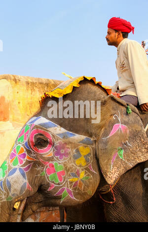 Mahout Reiten dekoriert Elefanten auf dem gepflasterten Weg zum Amber Fort in Jaipur, Rajasthan, Indien. Elefantenreiten sind beliebte Touristenattraktion in Stockfoto