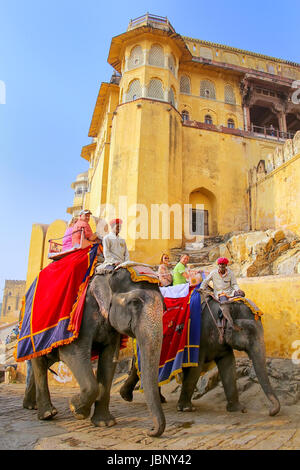 Elefanten gehen auf dem gepflasterten Weg zum Amber Fort in Jaipur, Rajasthan, Indien eingerichtet. Elefantenreiten sind beliebte Touristenattraktion in Bernstein Stockfoto