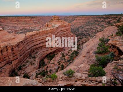 Canyon Formationen bei den Anasazi Indian Zitadelle Ruinen im Cedar Mesa im Bären Ohren National Monument in der Nähe von Blanding, Utah. Stockfoto