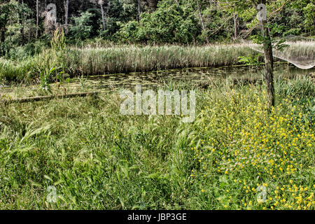 Angeln-Hütte auf der Pialassa della Baiona brackige Lagune in der Nähe von Marina Romea an Te adriatischen Küste in Ravenna (Italien) Stockfoto