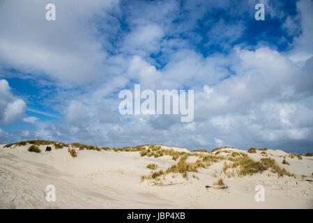 Dünen auf Terschelling, Niederlande Stockfoto