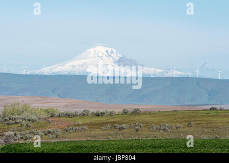 Windkraftanlagen auf einem Bergrücken oberhalb des Columbia-Flusses mit Mt. Adams im Hintergrund (Oregon und Washington). Stockfoto