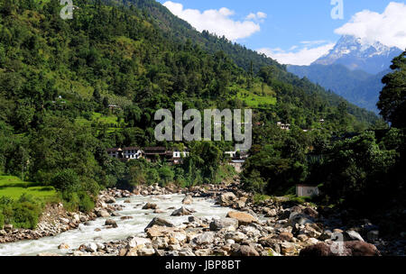 Grüne Reisfelder und Berge Flusslandschaft, Trekking zum Annapurna Base Camp in Nepal Stockfoto