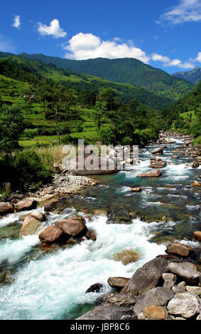 Grüne Reisfelder und Berge Flusslandschaft, Trekking zum Annapurna Base Camp in Nepal Stockfoto