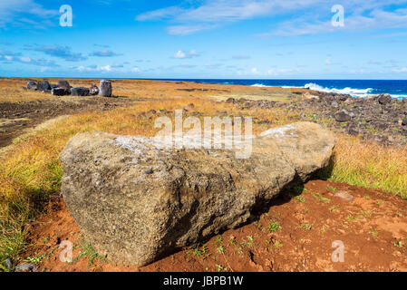 Moai auf der Osterinsel liegen unten in der Nähe von der Uferlinie beschädigt Stockfoto