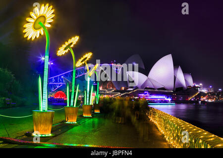 Royal Botanic Gardens Wasser nachts hell gesättigt Lichtshow Vivid Sydney. Botanische Kamille helle Blumen wachsen in Töpfen vor c Stockfoto