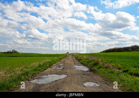 Foto einer Straße führt durch Getreide. Stockfoto