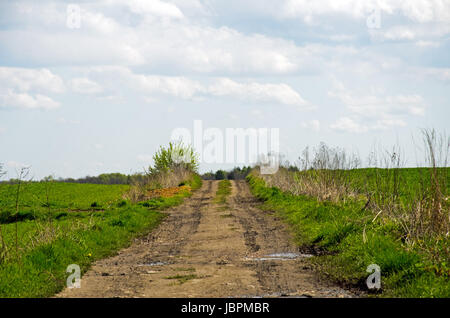 Foto einer Straße führt durch Getreide. Stockfoto