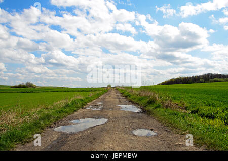 Foto einer Straße führt durch Getreide. Stockfoto