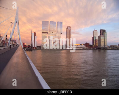 Rotterdam Stockfoto