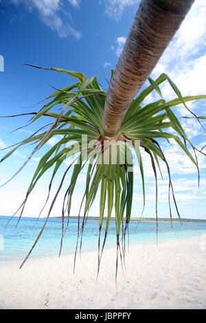 Asien, Suedostasien, Ost-Timor, Timor-Leste, Timor, Ostkueste, Tutuala, Insel. Jaco Insel, Strand, Landschaft Der Traumstrand Auf der Insel Jaco Insel Im Osten von Ost-Timor in Suedost Asien.       (Urs Flueeler) Stockfoto