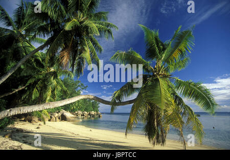 Ein Traumstrand Auf der Insel La Digue Auf Den Seychellen Im Indischen Ozean. Stockfoto