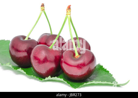 Süße saftige Kirsche leckere reife Beeren großen Früchten auf frischen grünen Blättern, die isoliert auf weiss Stockfoto