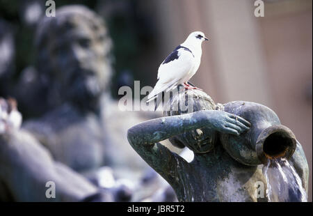 Der Brunnen Auf Dem Plaza De La Virgen in der Altstadt von Valencia in Spanien. Stockfoto