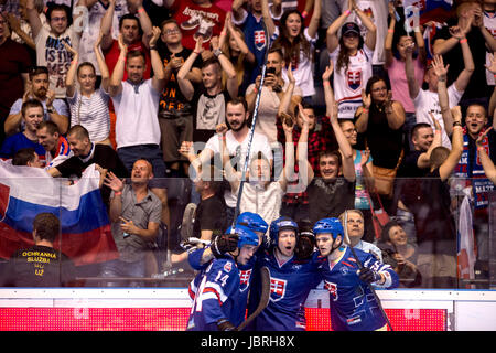 Pardubice, Tschechische Republik. 10. Juni 2017. Slowakei-Spieler feiern ein Ziel während der 2017 Ball Hockey World Championship final Mann Übereinstimmung zwischen der Slowakei und Kanada in Pardubice, Tschechische Republik, 10. Juni 2017. Bildnachweis: David Tanecek/CTK Foto/Alamy Live-Nachrichten Stockfoto