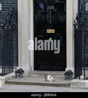 Larry Downing Street Cat Juni 2017 Parlamentswahlen Downing Street, London, England 9. Juni 2017 außerhalb keinen Kredit 10 Downing Street, London, England: Allstar Bild Bibliothek/Alamy Live-Nachrichten Stockfoto