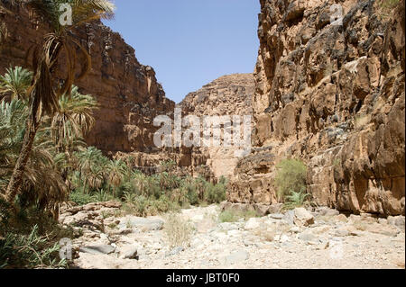 Amtoudi Tal aus dem Wadi im Süden von Marokko Stockfoto