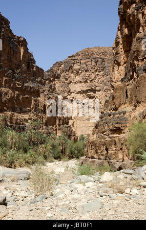 Amtoudi Tal aus dem Wadi im Süden von Marokko Stockfoto