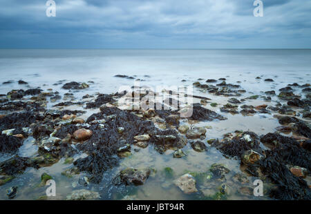 Fels-Pools bei Ebbe am Strand von Cromer in Norfolk England UK Stockfoto