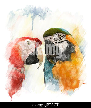 Digitales Aquarell von zwei bunte Papageien Stockfoto