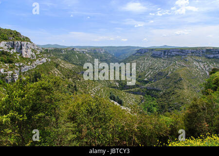 Frankreich, Gard (30), Vissec, Les Gorges De La Vis Après le Cirque de Navacelles Vu Depuis le Belvédère De La Doline / / Frankreich, Gard, Vissec, die Schluchten Stockfoto