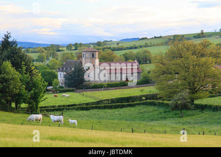 Frankreich, Puy-de-Dôme (63), Combrailles, Saint-Hilaire-la-Croix, Église Saint-Hilaire / / Puy de Dome, Combrailles, Saint Hilaire la Croix, Frankreich, Saint Stockfoto