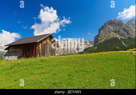 blühenden Wiese mit einer kleinen Scheune unter Dolomiten, Trentino, Italien Stockfoto