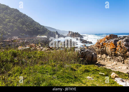 Wanderweg entlang der Tsitsikamma National Park, Südafrika Stockfoto