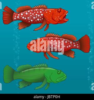 Gemeinsamen Harlekin Fisch. Vektor-illustration Stock Vektor