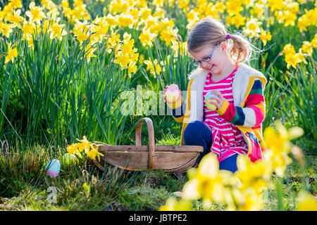 Kleine Mädchen ist in einem Narzissen Feld auf der Suche nach Ostereiern in eine Ostereiersuche. Sie hat einen Korb und pflückt einige Eier, die sie gefunden hat. Stockfoto