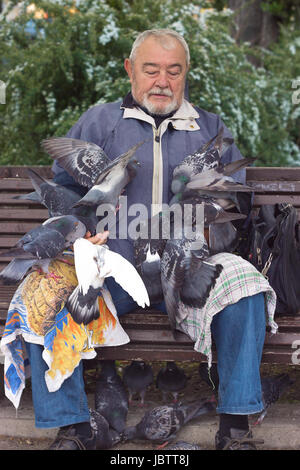 Alter Mann sitzt auf der Bank, die Tauben füttern Stockfoto