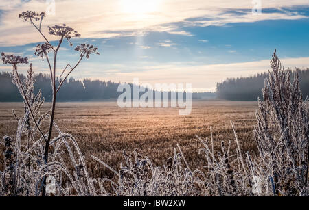 Malerische und helle Landschaft mit Sonnenaufgang bei frostigen Herbstmorgen Stockfoto