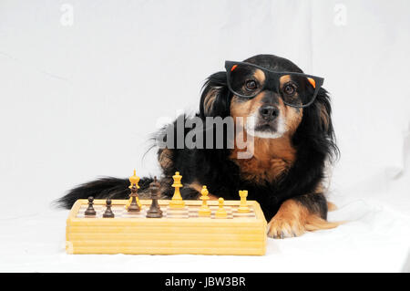 0b27edf9-c6f4-4de1-9ee7-12f7d767af45 Stockfoto