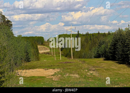 Eine Kraft Schnittverlauf in ländlichen Alberta. Stockfoto