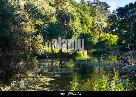 Royal Botanic Gardens in Melbourne, Victoria, Australien. Stockfoto