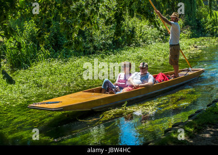 Flussfahrt in einem Kahn auf dem großen Stour in Canterbury, Kent, England Stockfoto