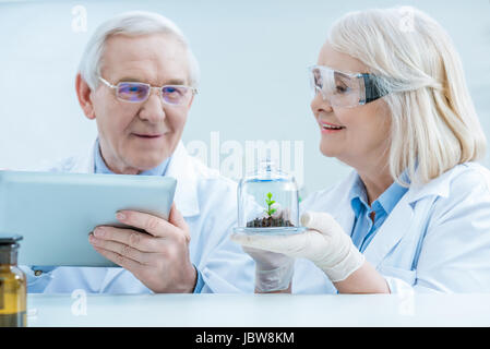 Porträt des Lächelns leitende Wissenschaftler analysieren Anlage in Glasbehälter im Labor Stockfoto