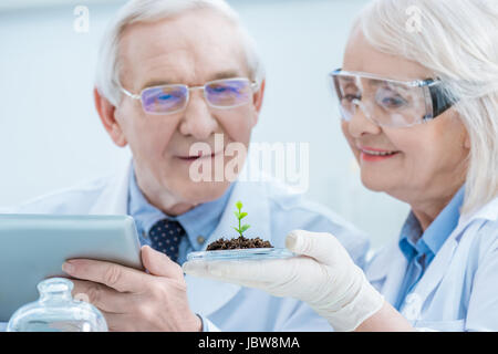 Lächelnde leitende Wissenschaftler arbeiten mit digital-Tablette und grüne Pflanze im Boden Stockfoto