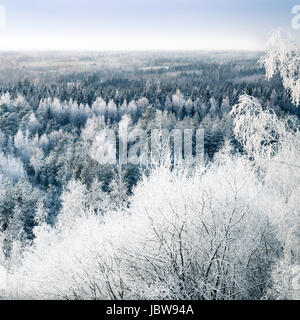 Malerische Landschaft mit Schnee Bäume und Sonnenuntergang am kalten Wintertag Stockfoto